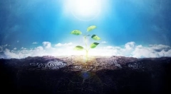 Животот на земјата